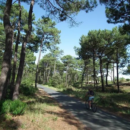 Apartment - 1er Etage Gauche - 90m De La Ronce-les-Bains