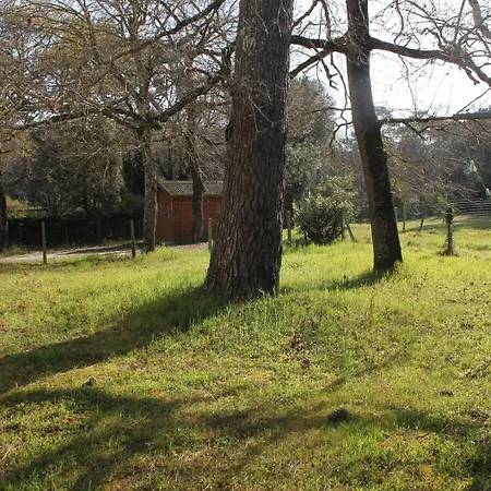 - 1er Etage Gauche - 90m De La Ronce-les-Bains