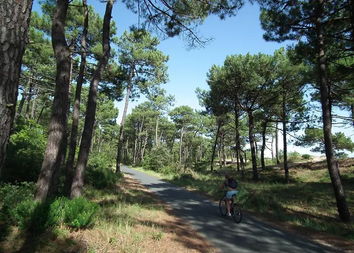 Appartement - 1er Etage Gauche - 90m De La Ronce-les-Bains