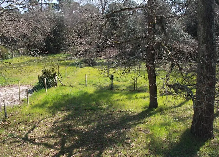 Appartement - 1er Etage Gauche - 90m De La Ronce-les-Bains